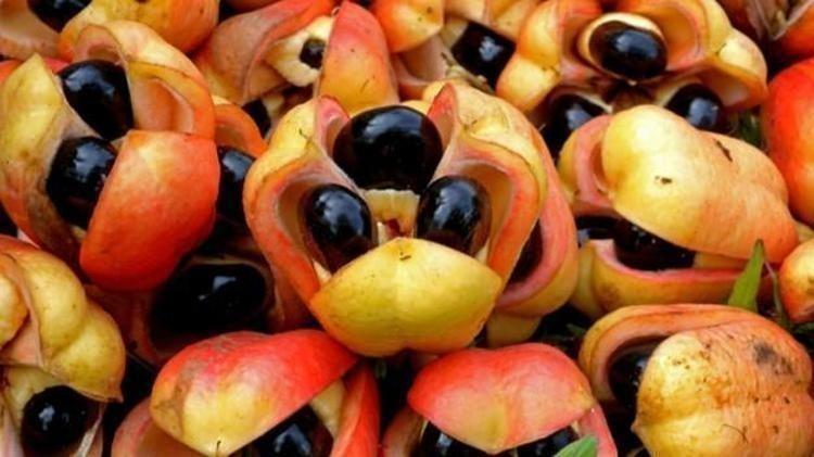 Türkiyede yeterli ilgiyi görmüyor: Damar genişleten tek meyve Tansiyonu 12.8e sabitliyor