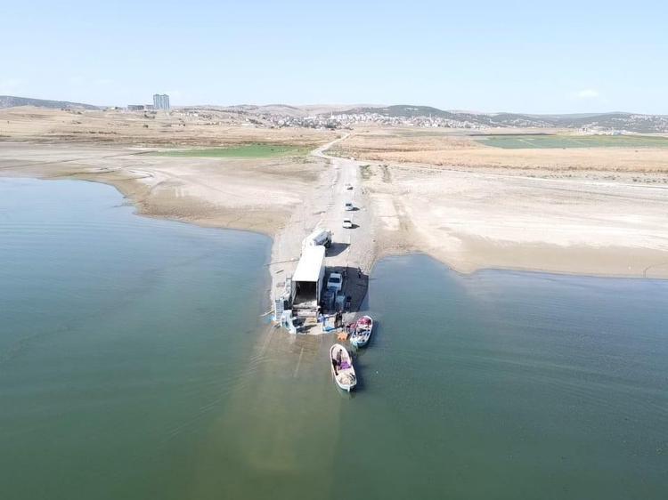 Bozkırın ortasından Avrupaya gönderiliyor Bu sene fiyatı 15 TL