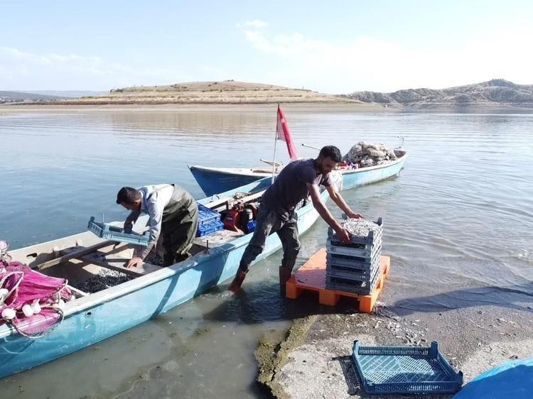 BALIKÇILARIN HUMMALI ÇALIŞMASI BAŞLADI