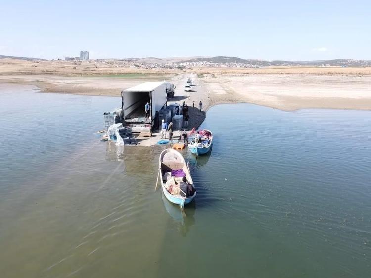 Bozkırın ortasından Avrupaya gönderiliyor Bu sene fiyatı 15 TL