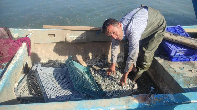 ŞİMDİ GÜMÜŞ BALIĞI TUTULACAK