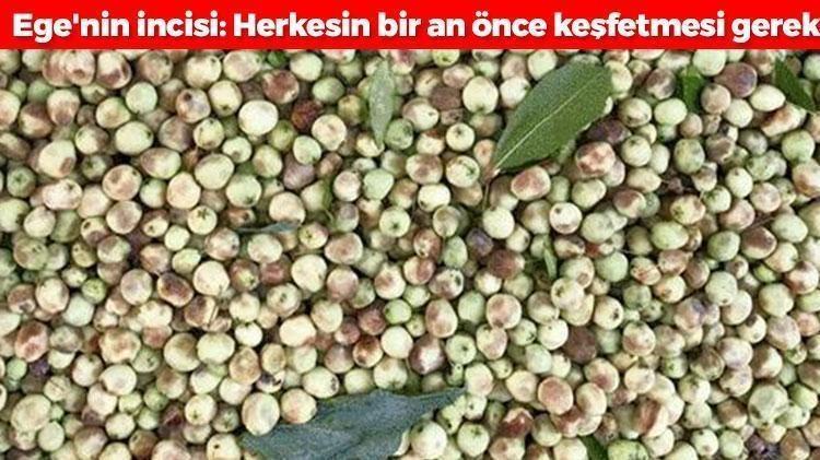 Egenin incisi: Herkesin bir an önce keşfetmesi gerekiyor, damarlarda kolesterolden eser bırakmıyor