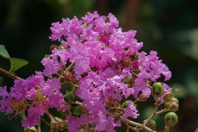 Egenin incisi: Herkesin bir an önce keşfetmesi gerekiyor, damarlarda kolesterolden eser bırakmıyor