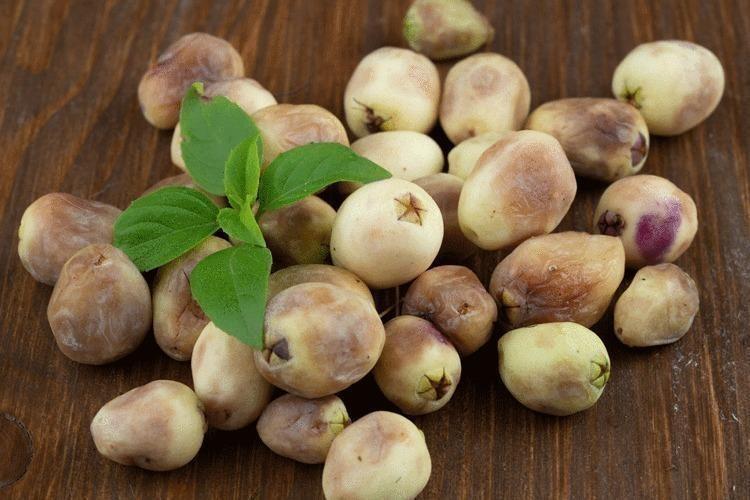 Murt (Hambeles) nerelerde bulunur, nasıl kullanılır