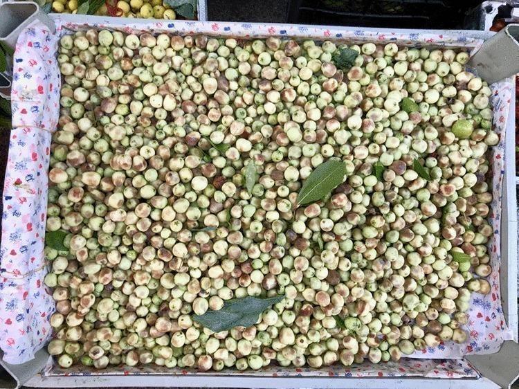 Egenin incisi: Herkesin bir an önce keşfetmesi gerekiyor, damarlarda kolesterolden eser bırakmıyor