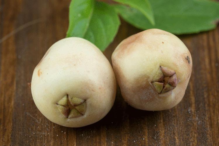 Egenin incisi: Herkesin bir an önce keşfetmesi gerekiyor, damarlarda kolesterolden eser bırakmıyor