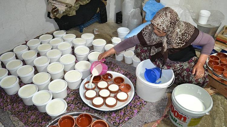 Taze yoğurdun içine karıştırın 1 kaşık yiyen 10 yıl hastalanmıyor: Kemikleri betona çeviriyor, kolesterolün kökünü kurutuyor
