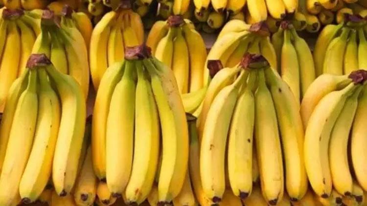 Potasyum ihtiyacının yüzde 12sini karşılıyor Bağırsakları pamuk gibi yumuşatıyor