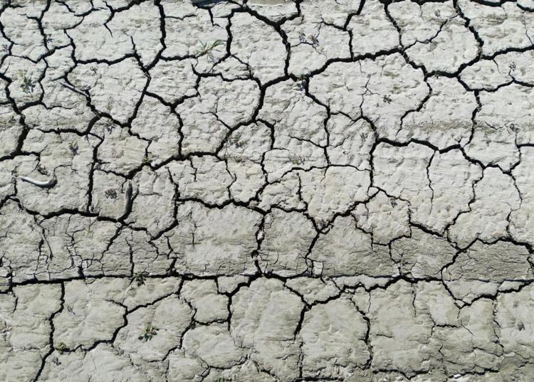 40 yıllık topraklar geri geldi Kuraklığın acı yüzü: Atadan deden kalma yerlerimizdi