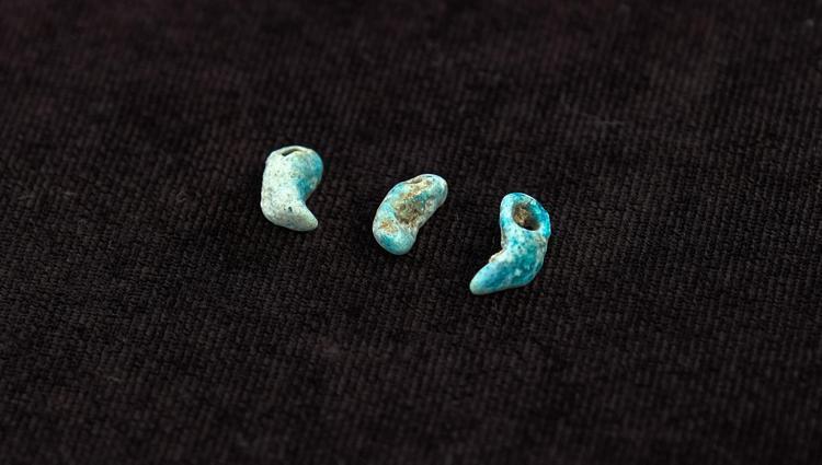 TÜRKLERE HAS BİR BULGU