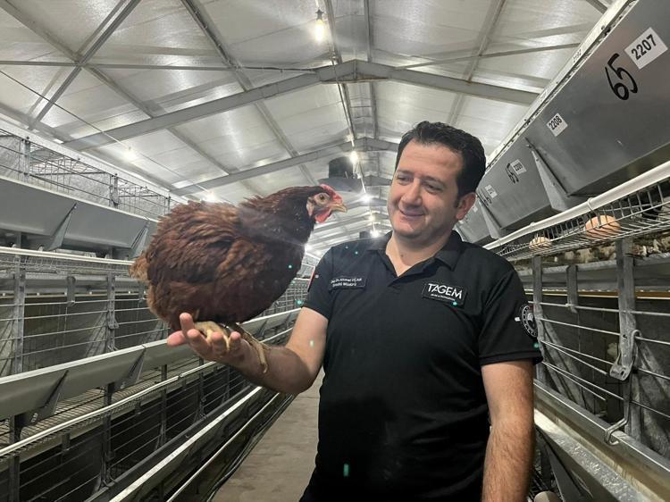 Tavukçulukta yapay zeka hamlesi Yumurtacı damızlık civciv üretiminde kullanılıyor