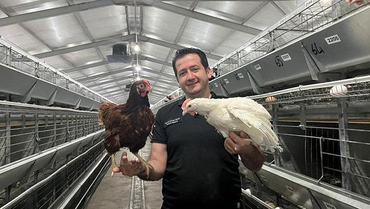 Tavukçulukta yapay zeka hamlesi Yumurtacı damızlık civciv üretiminde kullanılıyor