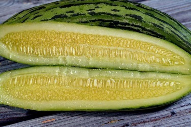 GÖZ SAĞLIĞINI KORUYOR