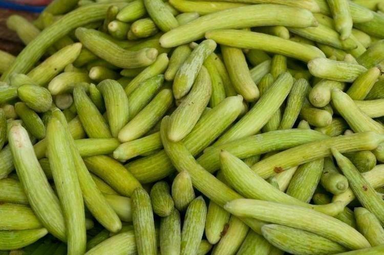 KİLO KONTROLÜNE YARDIMCI OLUYOR