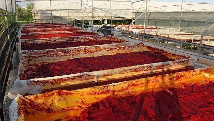 SALÇANIN ÖMRÜ 3 YILDIR, GÜNEŞTE KALMADIĞI SÜRECE BOZULMAZ