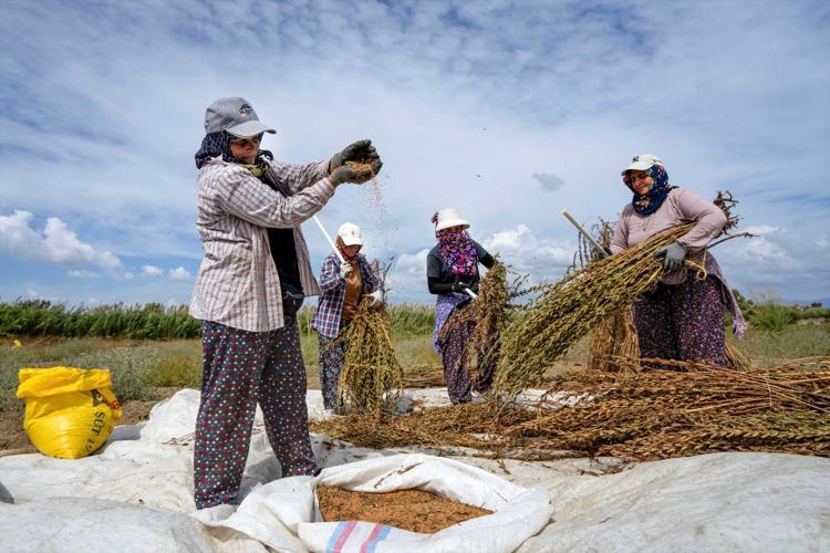 TÜRKİYE GENELİNDE DÜŞÜŞ, MANAVGAT’TA YÜKSELİŞ