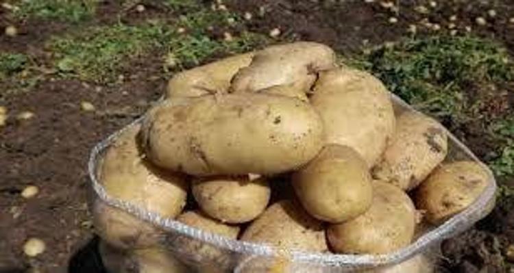 DOĞAL ENERJİ KAYNAĞIDIR