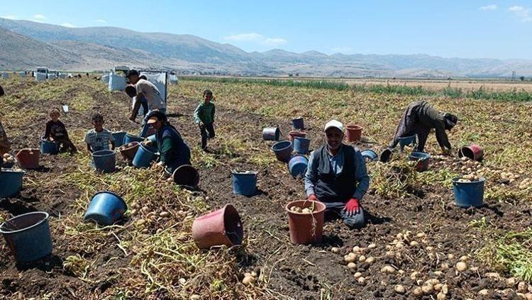 VİTAMİN VE MİNERAL DEPOSUDUR