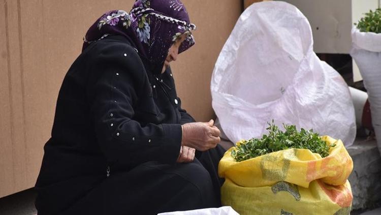 MADIMAĞIN FAYDALARI NELERDİR