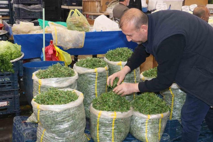 BU SENE MADIMAK ÇOK FAZLA