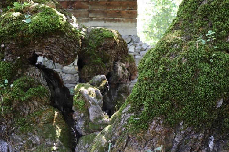 ÇOK İLGİNÇ BİR GÖRÜNTÜ