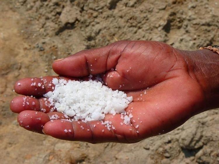 Ayıla bayıla yiyoruz ama böbrekleri diyalize sürüklüyor Her sofrada var, ömrü 10 yıl kısaltıyor, organ yetmezliğine kadar götürüyor