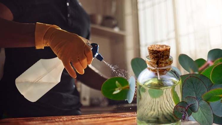 Sirke ve limondan 10 kat daha etkili Mikrobun kökünü kazıyan karışım: Evi bu karışımla silince hastalık kapıya bile uğramıyor
