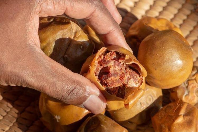 Faydasını duyan torba torba alıyor Kilosu 50 TL: Doğal şeker ilacı, böbreklere reset atıp bağırsakları harıl harıl çalıştırıyor