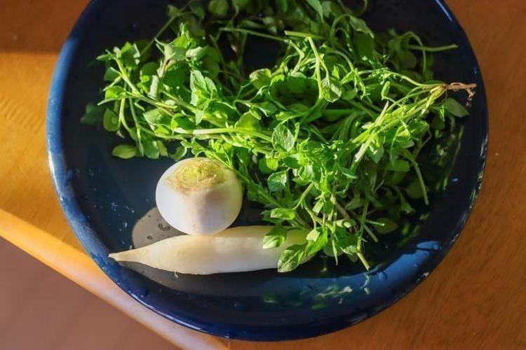 DOĞAL TANSİYON İLACI