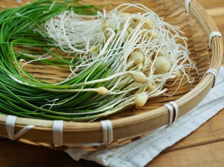 İDRAR YOLU SAĞLIĞINI DESTEKLER