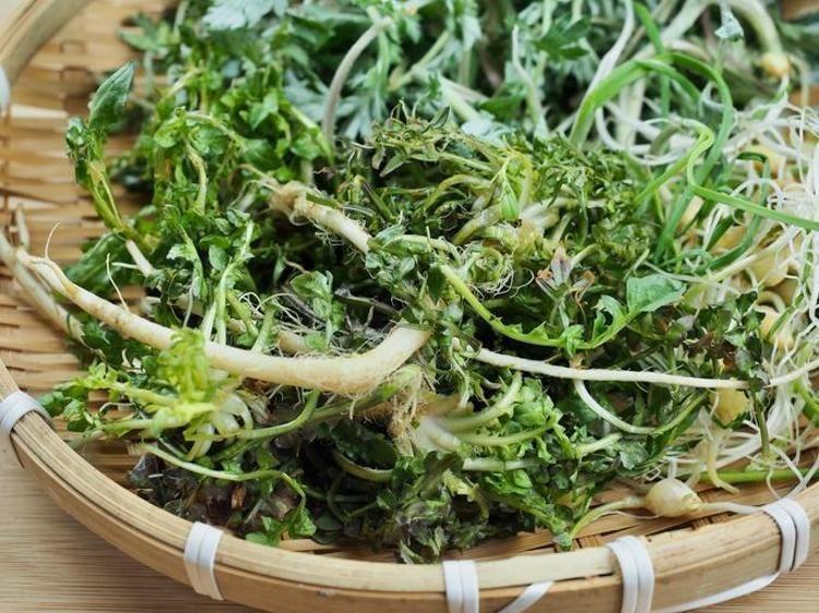 YARALARIN İYİLEŞMESİNİ SAĞLAR