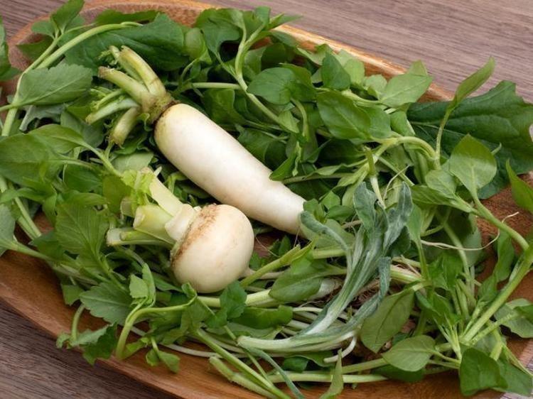 SİNDİRİM SİSTEMİNİ DESTEKLER, BASURA ÇÖZÜMDÜR