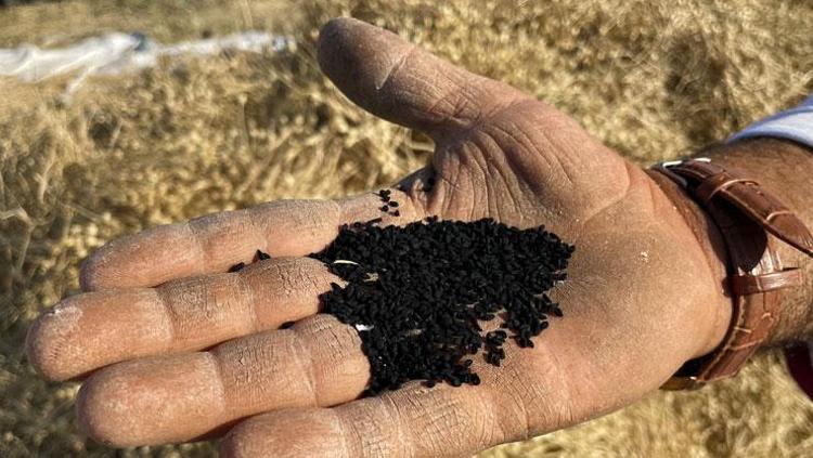 TANSİYON DENGELEYİCİ ÖZELLİĞİ VAR