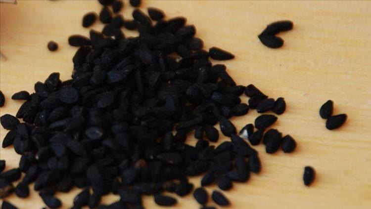 Çörek otunu yıllarca yanlış yemişiz Vücut için bulunmaz nimet: Tansiyonu saniyesinde dengeliyor, bağışıklığı demir gibi güçlendiriyor