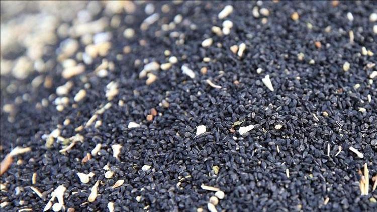 SAÇ DÖKÜLMESİNE KARŞI ETKİSİ