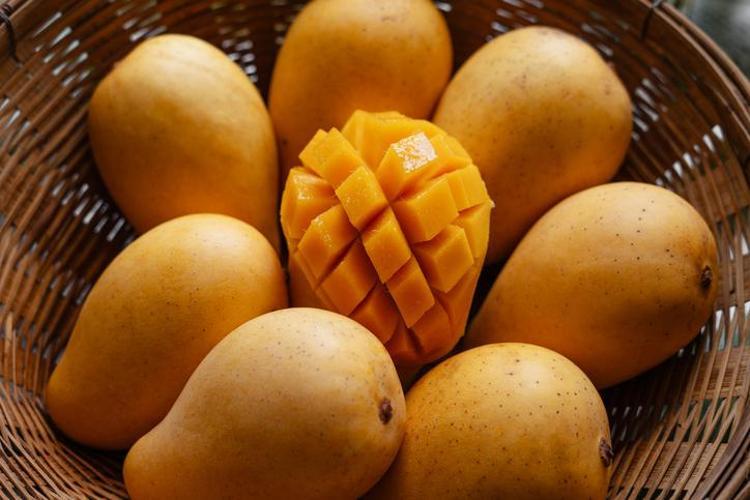 SADECE TROPİKAL BİR LEZZET DEĞİL: MANGO