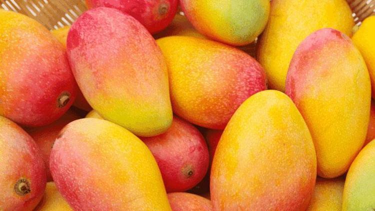 SİNDİRİM SİSTEMİNE DESTEK