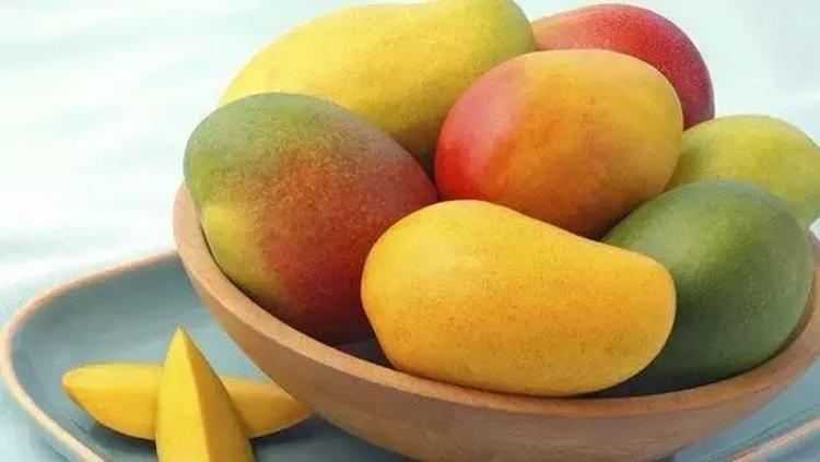 GÖZ SAĞLIĞINI KORUMA