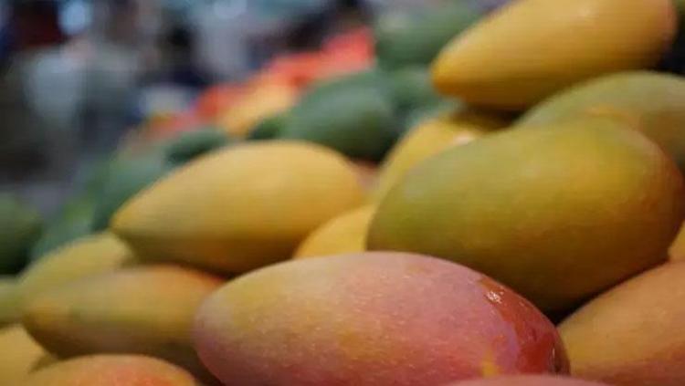 MANGO NASIL DEĞERLENDİRİLİR