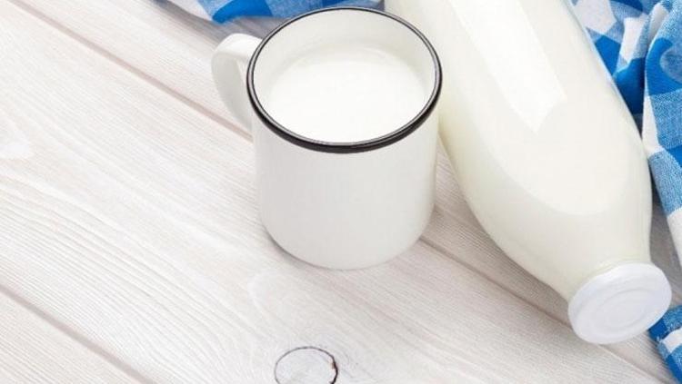 SÜT ÜRÜNLERİ: SÜT, YOĞURT VE PEYNİR