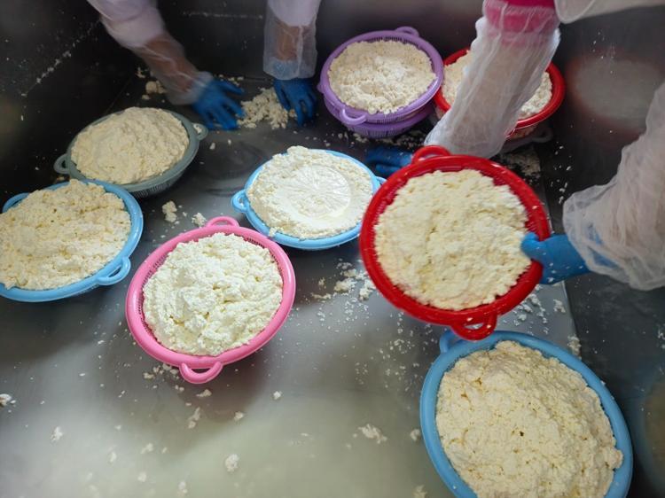 Kadınlar üretiyor şehir doyuyor Acılısı, sadesi, kekiklisi ve çörek otlusu favori: Kemikleri beton gibi yapıyor