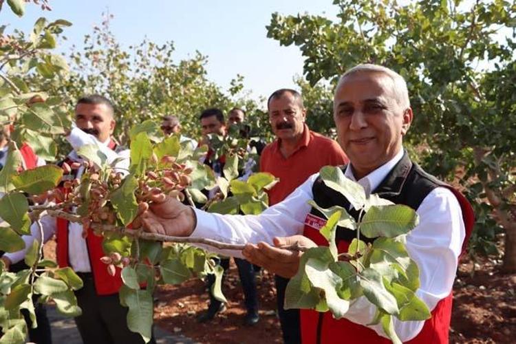 VAZGEÇİLMEZ LEZZETLER ARASINDA
