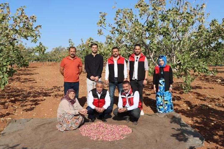 KURAKLIK VERİMİ DÜŞÜRDÜ
