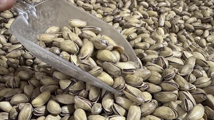 ANTEP FISTIĞININ FAYDALARI NELERDİR