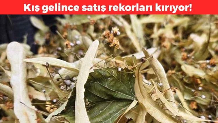 Kış gelince satış rekorları kırıyor Öksürük ve gribe karşı kalkan: 15 dakika demlemesini beklemeden tüketmeyin