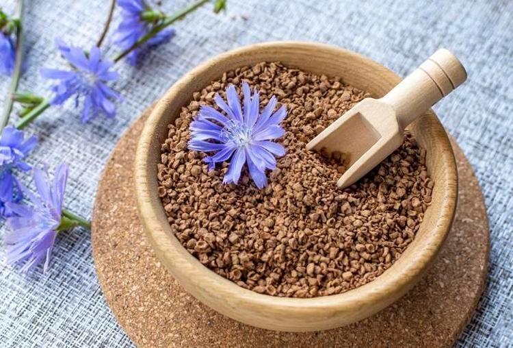 İBN SÎNÂ’DAN MAVİ HİNDİBA TAVSİYELERİ: TARİHÎ BİR PERSPEKTİF