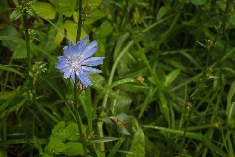 KEMİK SAĞLIĞINI İYİLEŞTİRİR