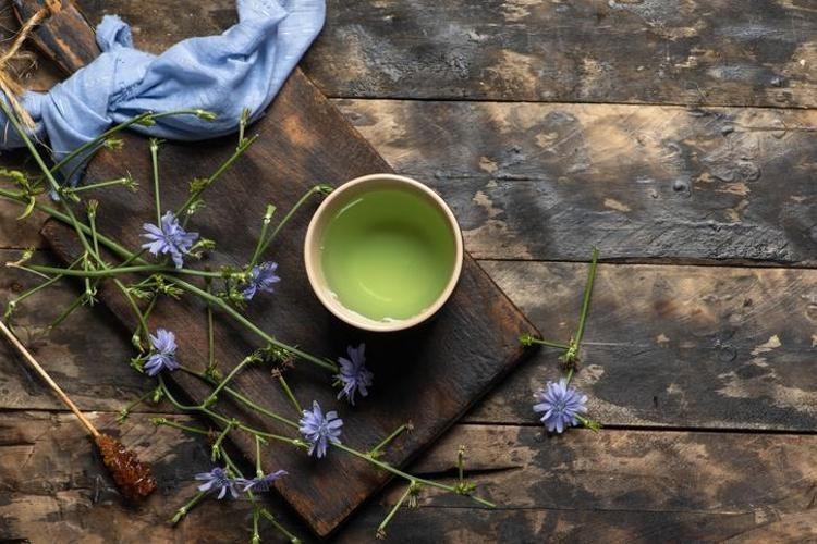 KARACİĞER VE SAFRA DESTEĞİ SAĞLAR