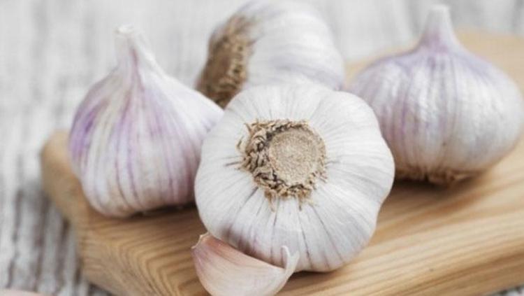 İLTİHAPLA MÜCADELEDE ETKİLİ