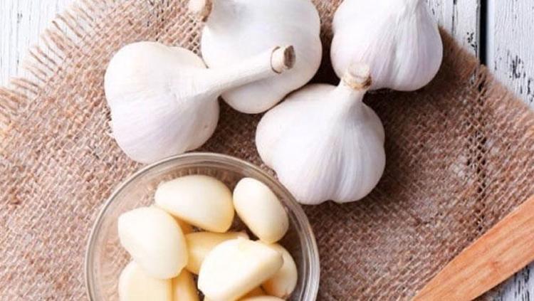 BAĞIRSAK SAĞLIĞINI DESTEKLER